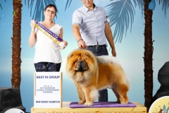 Boombastic at  M&Z Shadows of the Dynasty chow chow