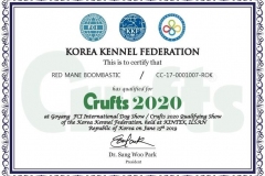 Clasificacion Crufts 2020 Boombastic at  M&Z Shadows of the Dynasty  chow